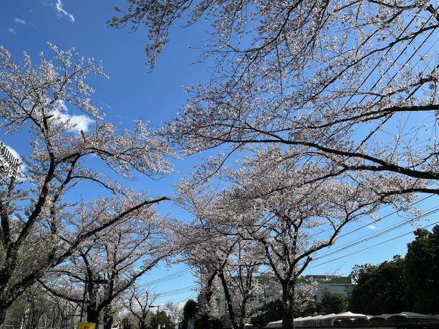 undefined - 2026-04-02T150242.521